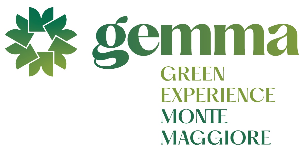 logo intro visit gemma